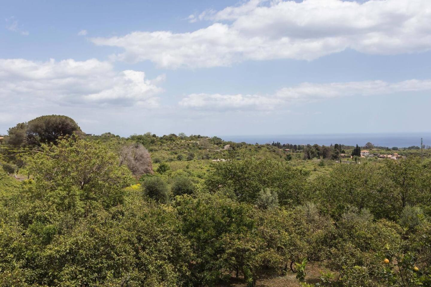 Villa Ginevra Santa Venerina Dış mekan fotoğraf