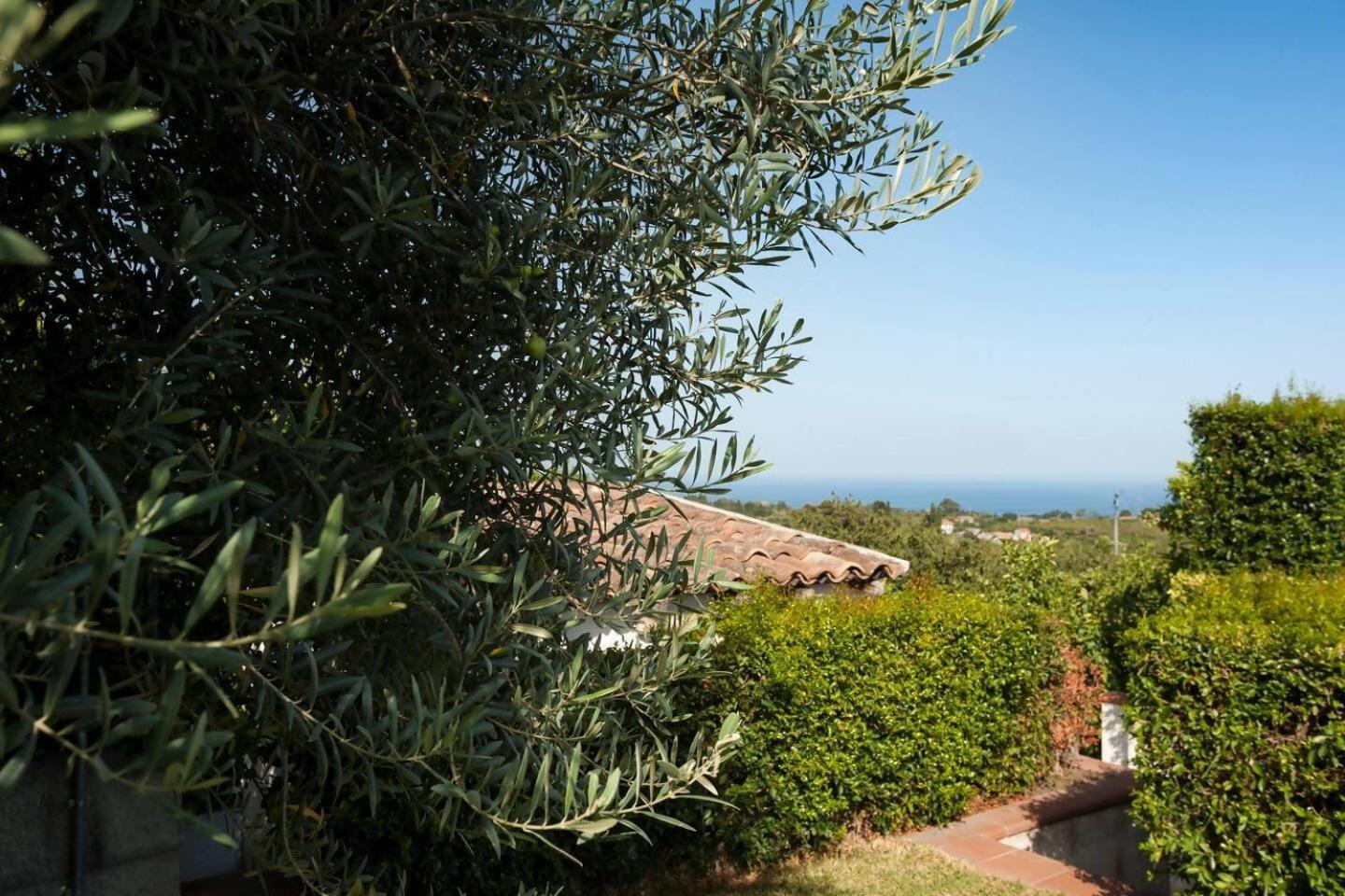Villa Ginevra Santa Venerina Dış mekan fotoğraf